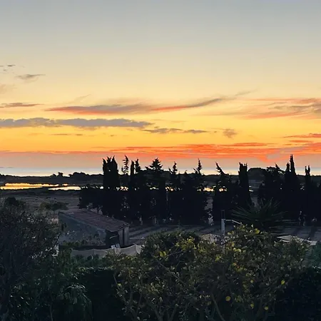 Vista Mar La Marina Piscine Privee * Elche